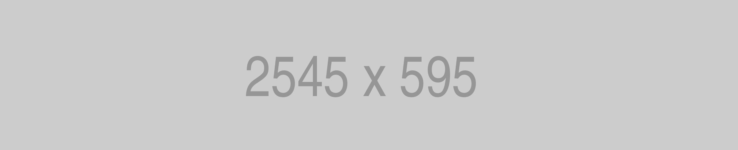 Integer ut rhoncus